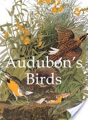 Audubon's Birds