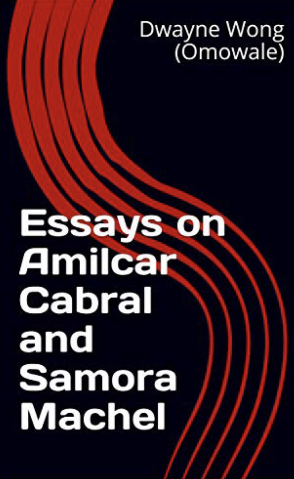 Essays on Amilcar Cabral and Samora Machel