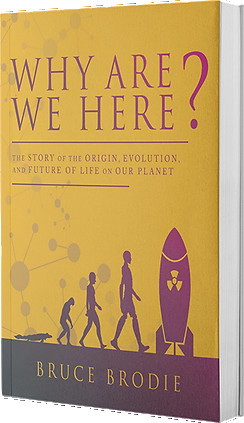 Why Are We Here?