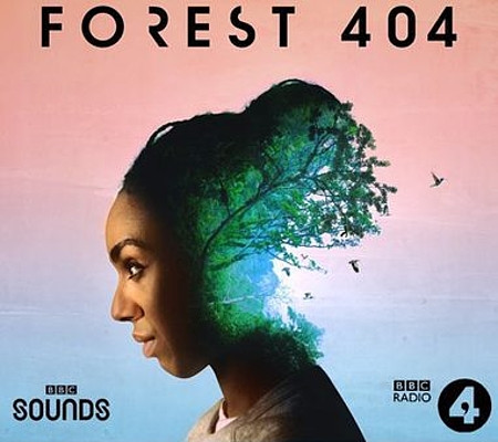 Forest 404