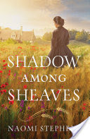 Shadow among Sheaves