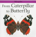 From Caterpillar to Butterfly