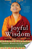 Joyful Wisdom