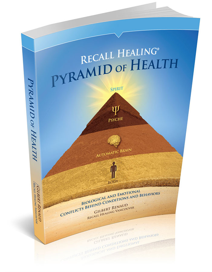 Pyramid of Health - Unlocking the Secrets of Illness - 2017 Version