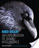 Bird Brain