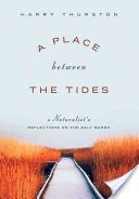 A Place between the Tides