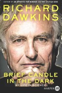 Brief Candle in the Dark LP