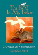 The Bat in My Pocket