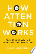 How Attention Works