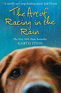 Art of Racing in the Rain a Novel. Garth Stein
