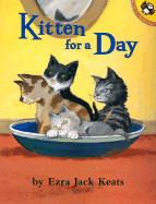 Kitten for a Day