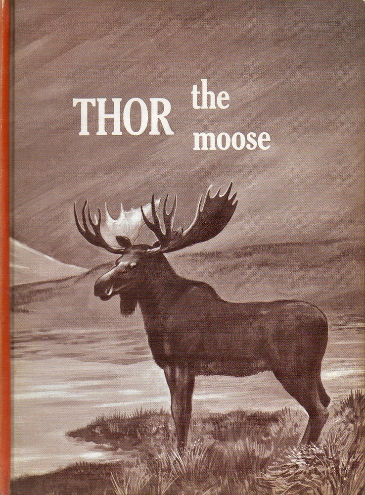 Thor, the Moose