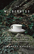 Wilderness