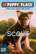 Scout