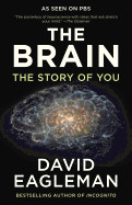 Brain: The Story of You