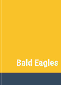 Bald Eagles