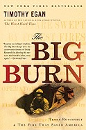 Big Burn: Teddy Roosevelt and the Fire That Saved America
