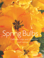 Spring Bulbs: Daffodils, Tulips and Hyacinths