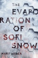 Evaporation of Sofi Snow