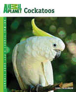 Cockatoos