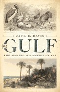 Gulf: The Making of an American Sea