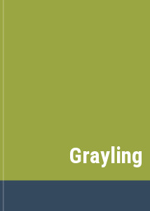 Grayling