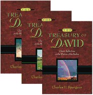 Treasury of David (Supersaver)