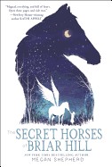 Secret Horses of Briar Hill