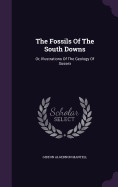 Fossils Of The South Downs: Or, Illustrations Of The Geology Of Sussex