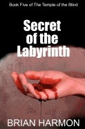 Secret of the Labyrinth: The Temple of the Blind #5