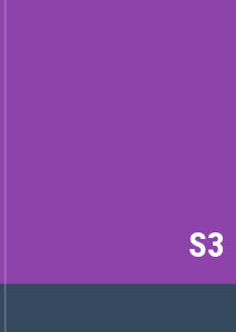 S3