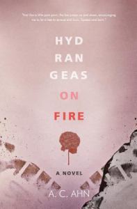 Hydrangeas on Fire