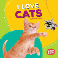 I Love Cats