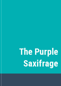 The Purple Saxifrage