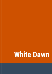 White Dawn