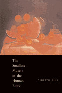Smallest Muscle in the Human Body