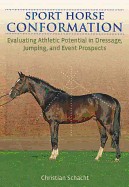 Sport Horse Conformation: Evaluating Athletic Potential in Dressage, Jumping and Event Prospects