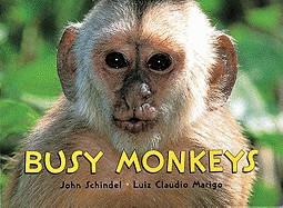 Monkeys!: A Busy Animals Book