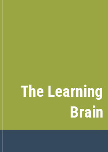 The Learning Brain