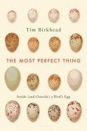 Most Perfect Thing: Inside (and Outside) a Bird's Egg