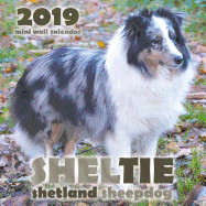 Sheltie: Shetland Sheepdog 2019 Mini Wall Calendar