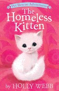 Homeless Kitten