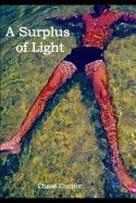 Surplus of Light: A Gay Coming-Of-Age Tale