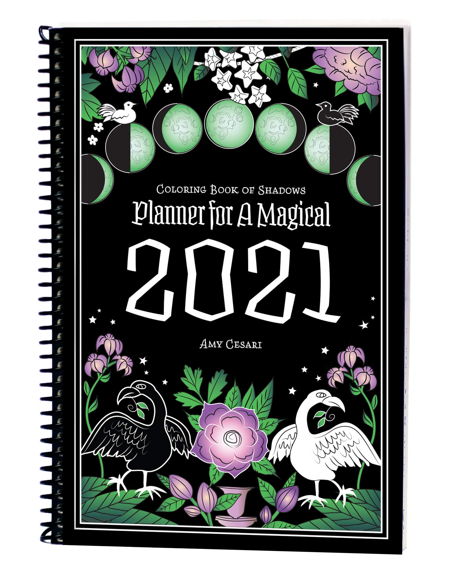 Coloring Book of Shadows: Planner for a Magical 20