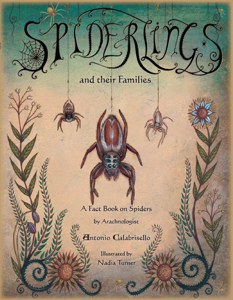 Spiderlings And Their Families