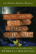 Secrets of Still Waters Chasm: Book 2 - Ohnita Harbor Mystery Series