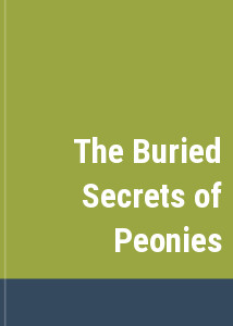 The Buried Secrets of Peonies