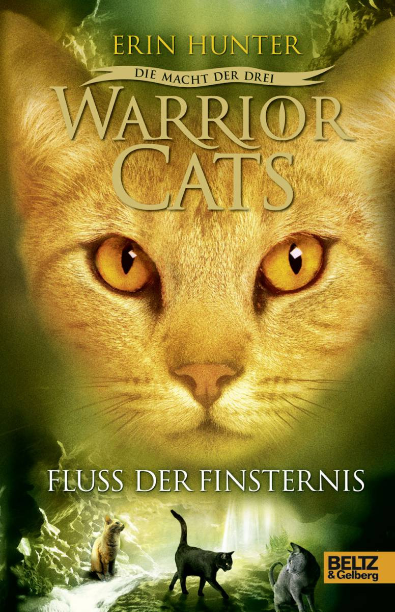 Warrior Cats: Die Macht der drei; Fluss der Finsternis