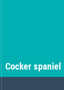 Cocker spaniel