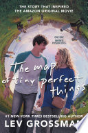The Map of Tiny Perfect Things
